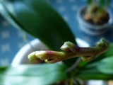 s-002_20121217112626.jpg