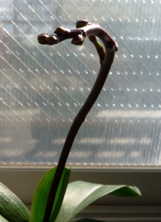s-002_20121224224942.jpg