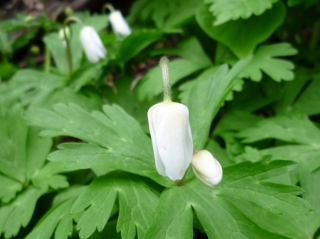 s-002_20130514102146.jpg