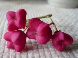 s-003_20121017092634.jpg