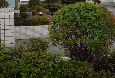 s-003_20121020103526.jpg