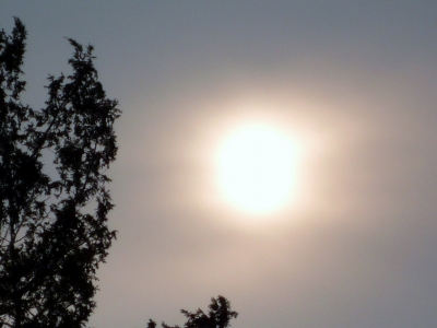 s-003_20130104184934.jpg