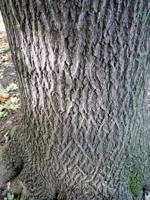 s-004_20121105204010.jpg
