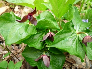 s-004_20130510131345.jpg
