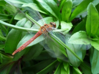 s-007_20121020103535.jpg
