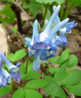 s-007_20130510131347.jpg