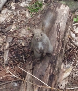 s-007_20130514102149.jpg