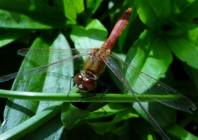 s-009_20121020103543.jpg