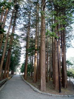 s-009_20130510131353.jpg