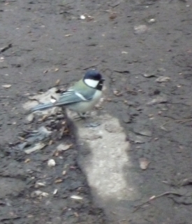 s-009_20130514102148.jpg
