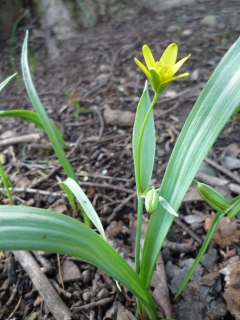 s-014_20130510131351.jpg