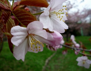 s-016_20130514102151.jpg