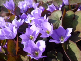 s-017_20130510132622.jpg