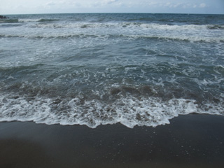 tetsuoartgallery120807 0011(umi)320