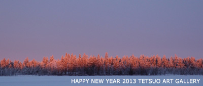 tetsuoartgallery121129 PB291934(happynewyear)400