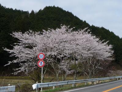 高山01