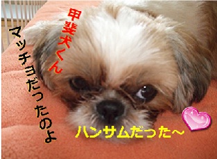 20120712-2.jpg