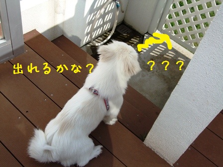 20121017-1.jpg