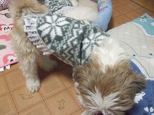 20121120-6.jpg