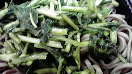2012022212480001.jpg