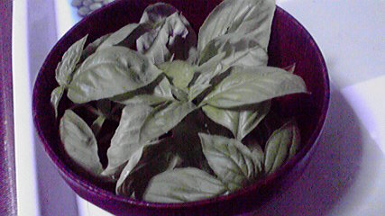 2012102321240000.jpg