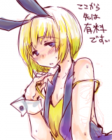 アルミン66