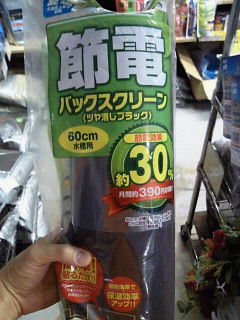 moblog_1fc6f716.jpg