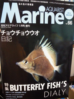 moblog_480bcb4f.jpg