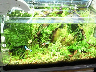 moblog_f3b072b9.jpg