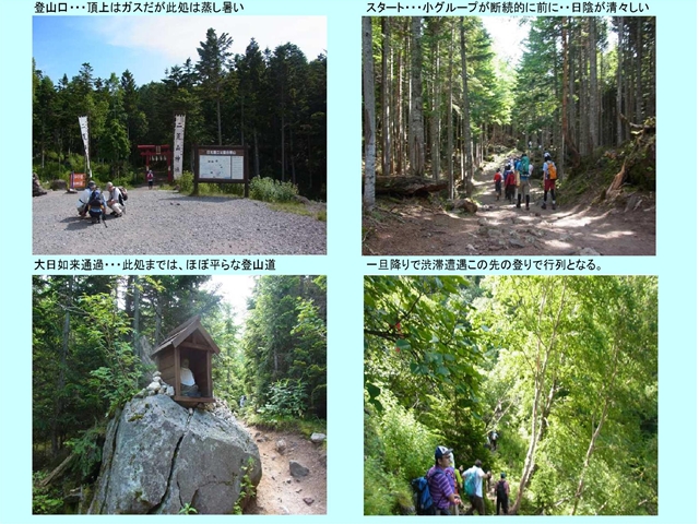 登山口→森林限界_p