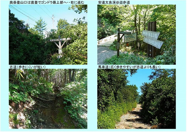 登山道