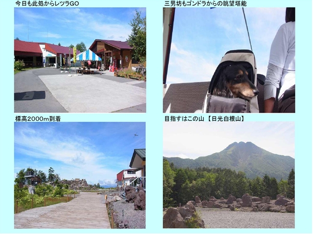 日光白根1_p