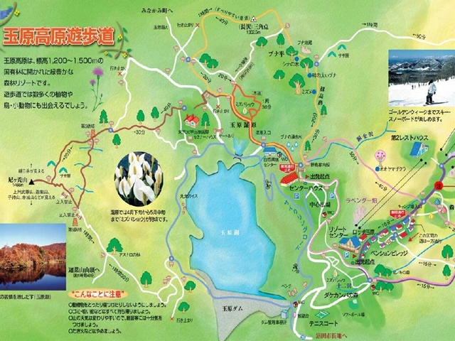 圧縮玉原地図