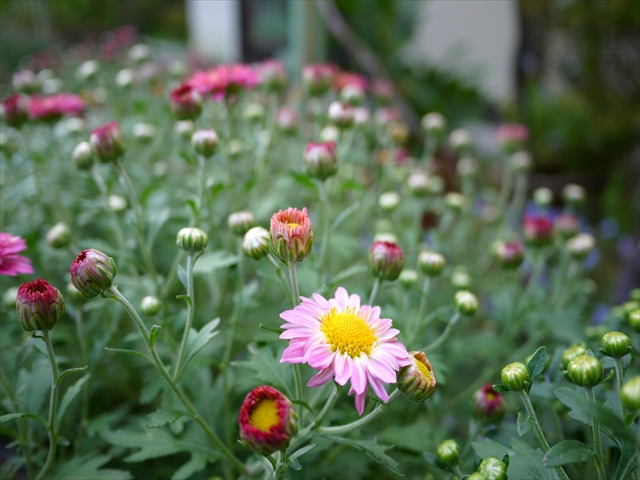 20121007002.jpg