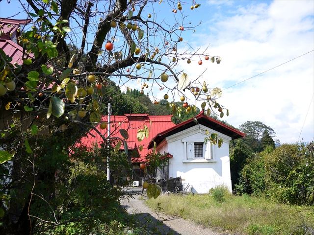 20121007004.jpg
