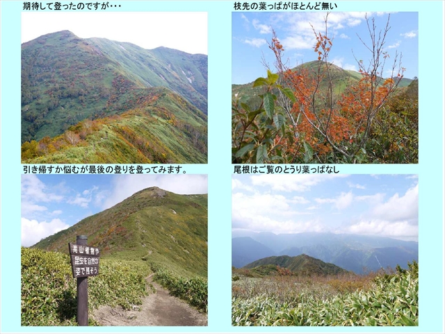平標2_11
