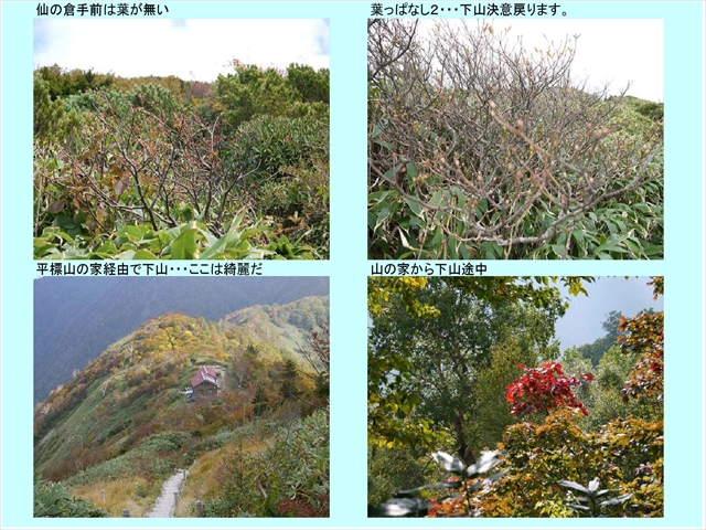 平標4_11