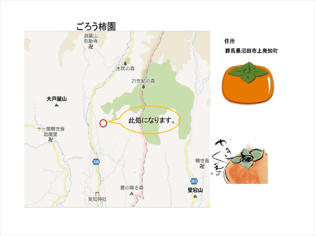 ごろう柿園地図_11