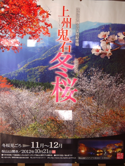桜山1
