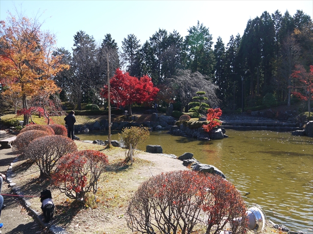 桜山2