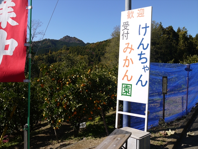 桜山5