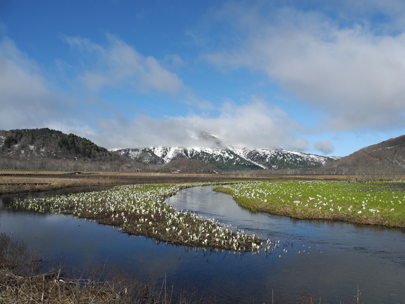 DSCN0207_x.jpg