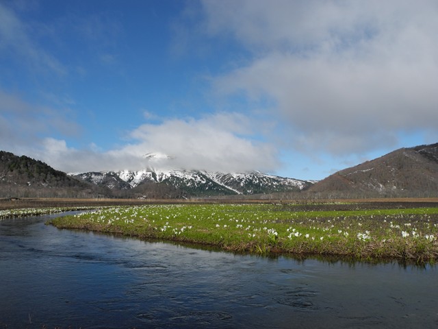 DSCN0210_x.jpg