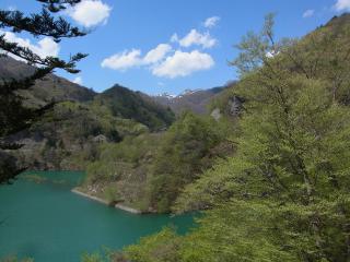R0013459_R.jpg