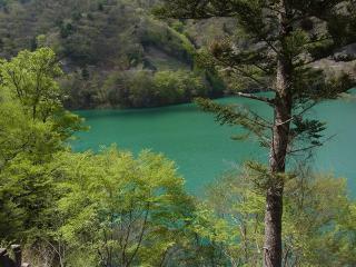 R0013464_R_R.jpg