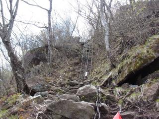 R0013544_x.jpg