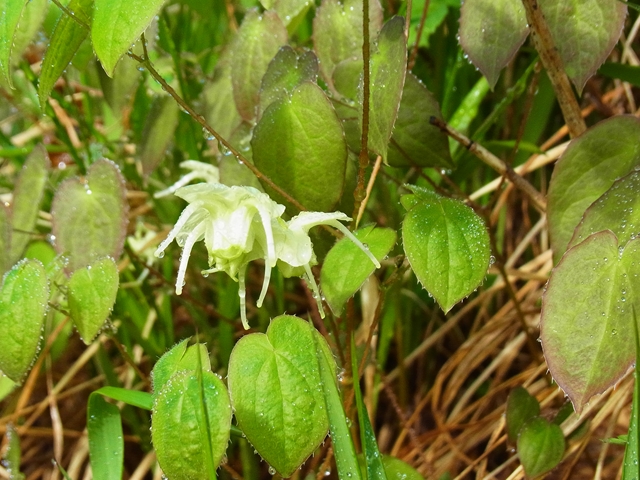 R1085280_p.jpg