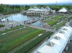 DSCN1147 群馬フラワーパークで花火