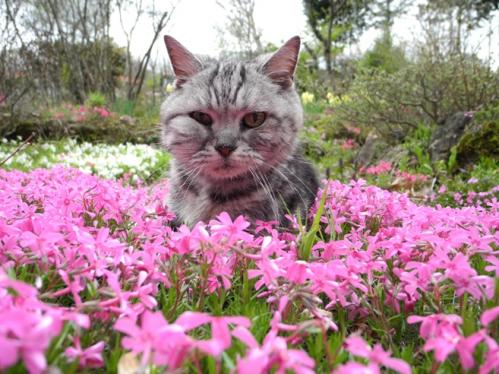 コウメちゃん、最後の記念写真