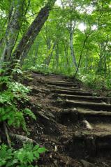 急坂続きの登山道